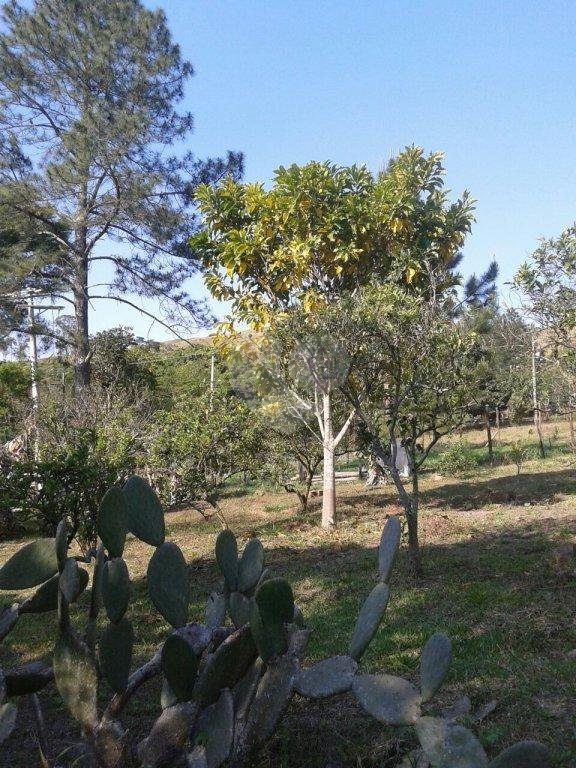 Venda Chácara Guararema Chácaras Guanabara REO20835 14