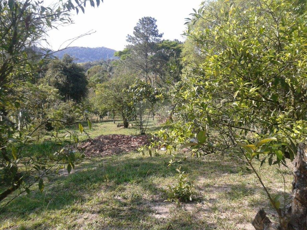 Venda Chácara Guararema Chácaras Guanabara REO20835 16