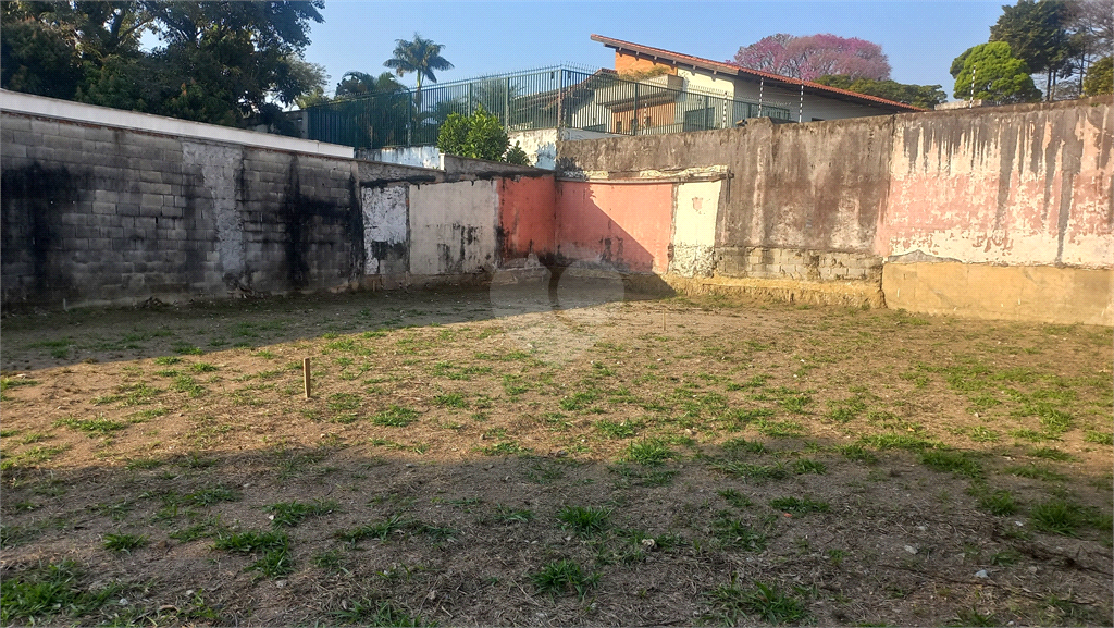 Aluguel Terreno São Paulo Vila Ida REO20846 12