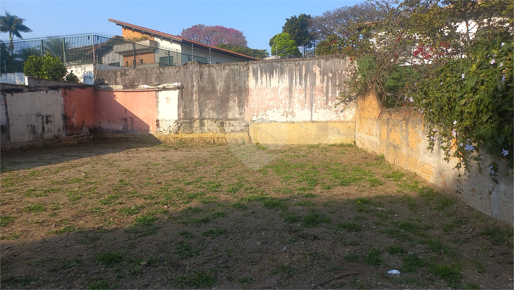 Aluguel Terreno São Paulo Vila Ida REO20846 13