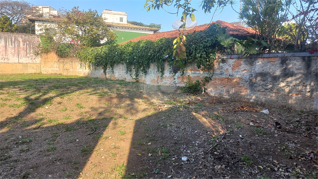 Aluguel Terreno São Paulo Vila Ida REO20846 3