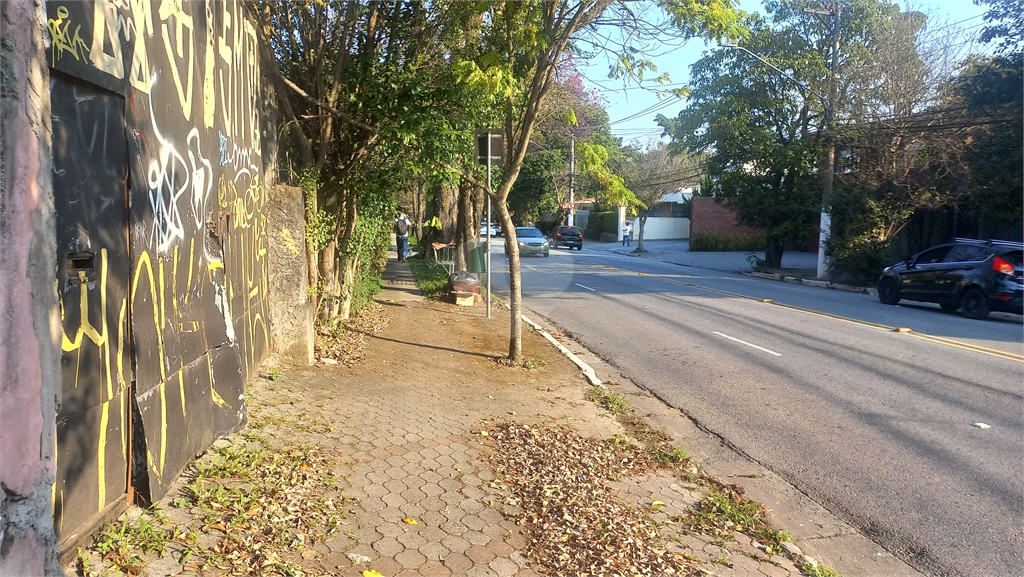 Aluguel Terreno São Paulo Vila Ida REO20846 17