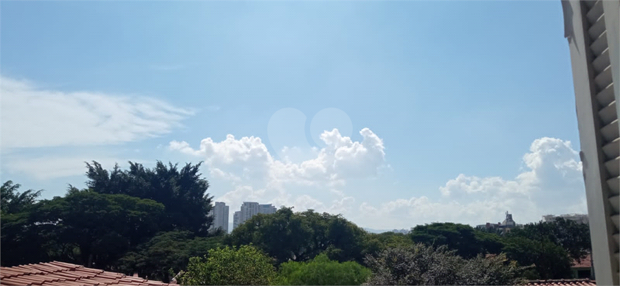 Foto REO20863
