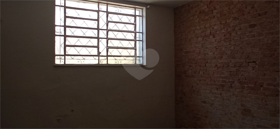 Foto REO20863
