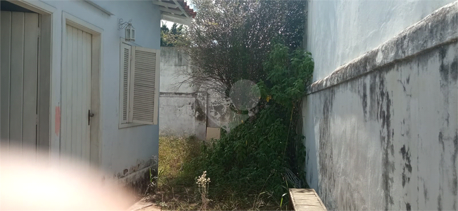 Foto REO20863