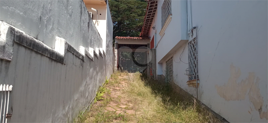 Foto REO20863