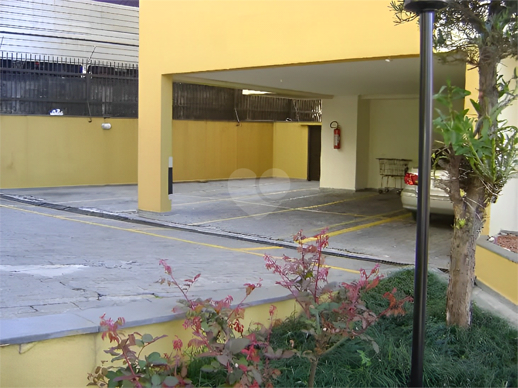 Venda Apartamento São Paulo Cambuci REO209124 38