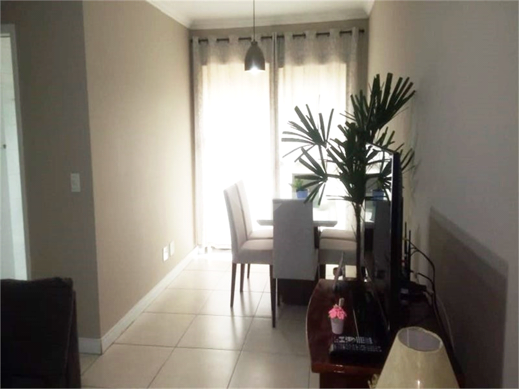 Venda Apartamento São Paulo Cambuci REO209124 6