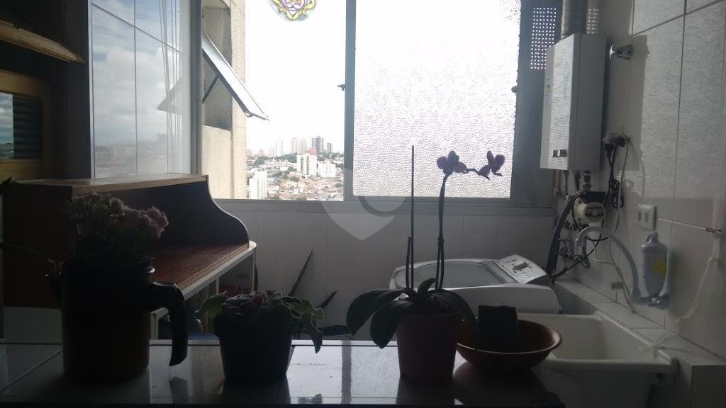 Venda Apartamento São Paulo São Judas REO209472 2