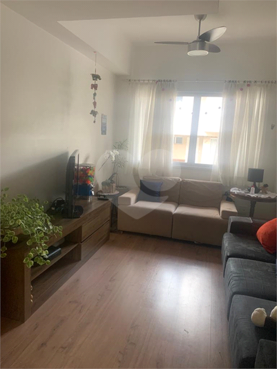 Foto REO209529