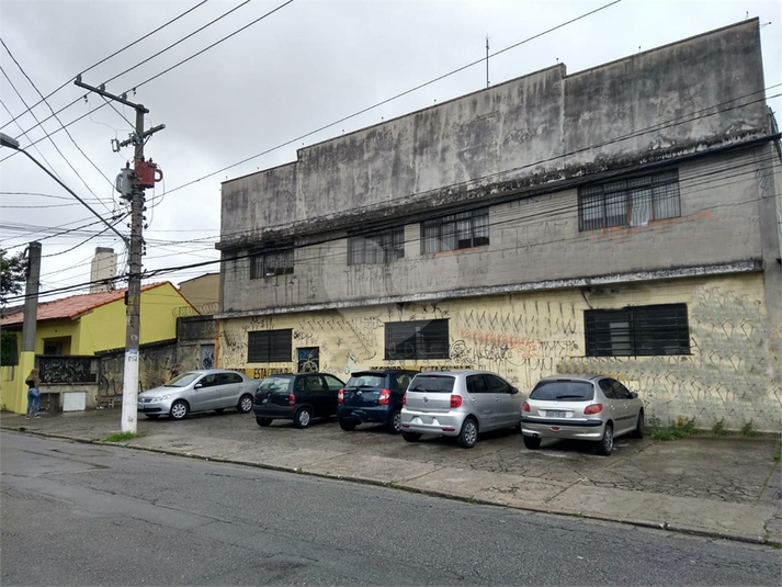 Foto REO209931