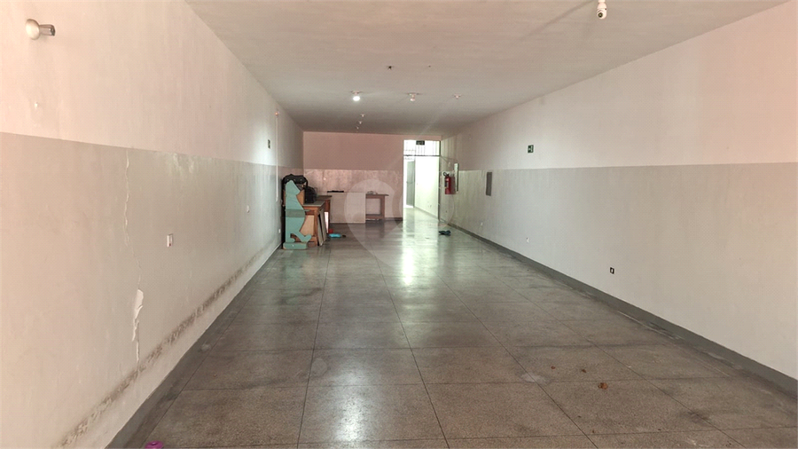 Foto REO210483