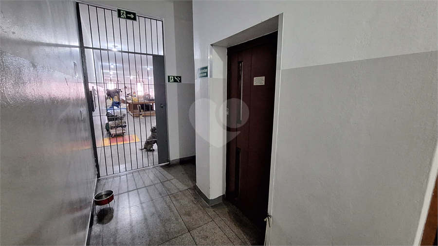 Foto REO210483