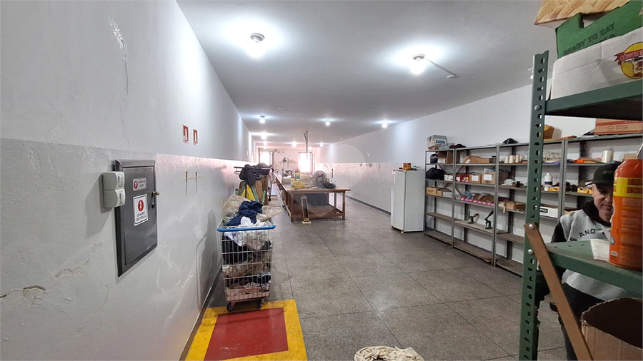 Foto REO210483