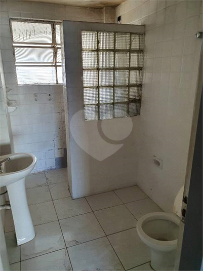 Foto REO211387