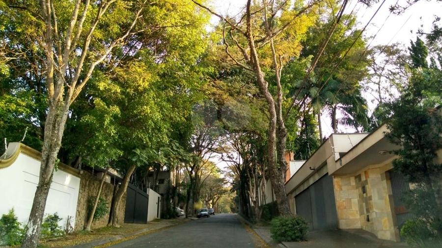 Foto REO211560