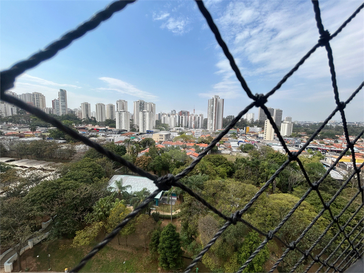 Foto REO211850