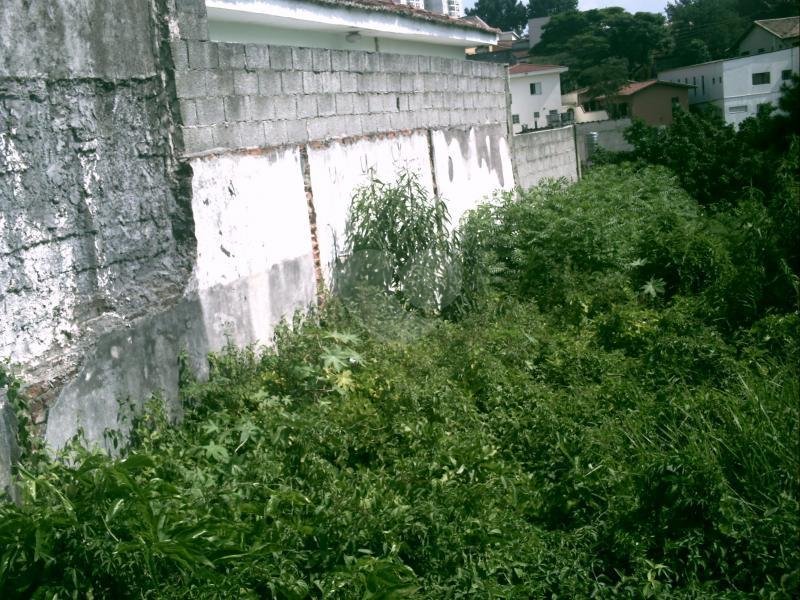 Venda Terreno São Paulo Jardim Monte Kemel REO21199 6