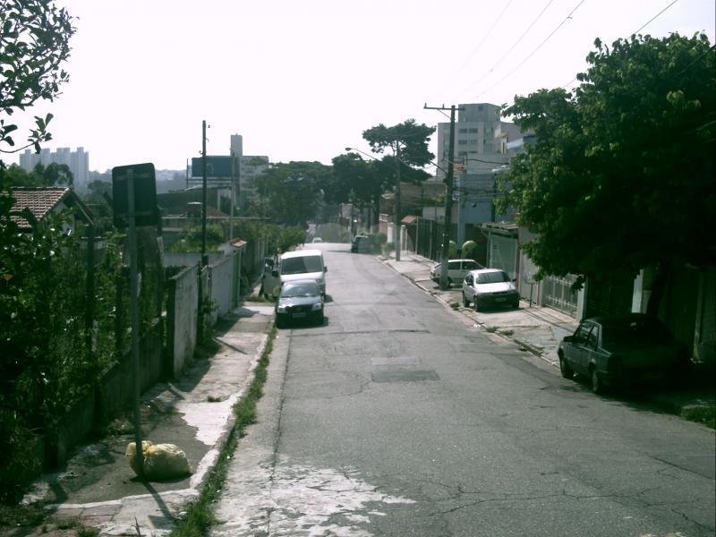 Venda Terreno São Paulo Jardim Monte Kemel REO21199 7