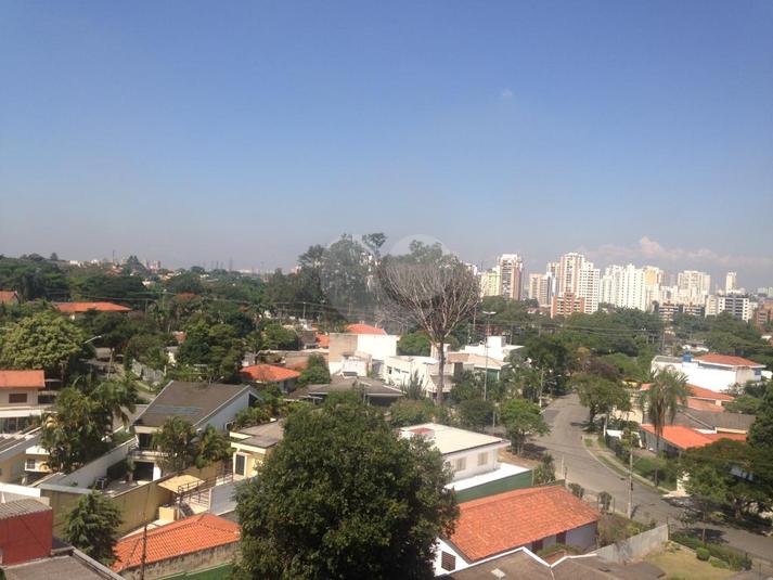 Foto REO212530