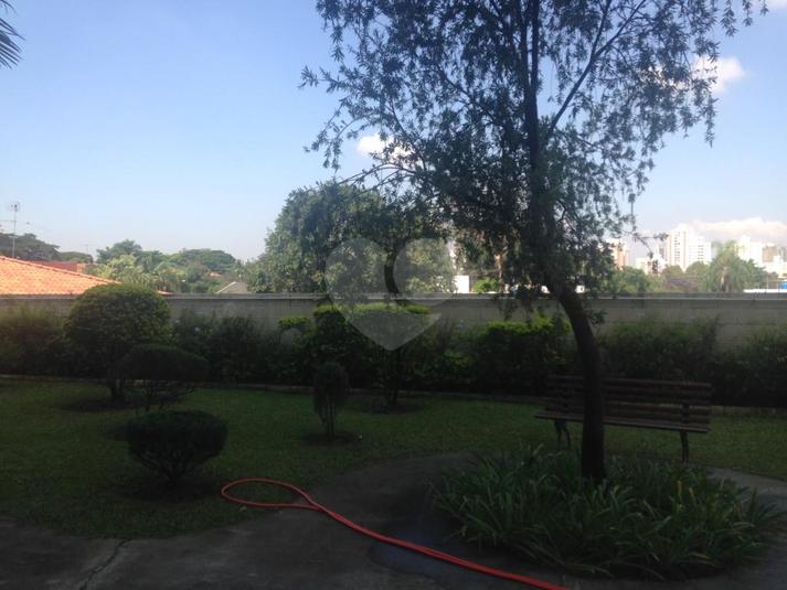 Foto REO212530