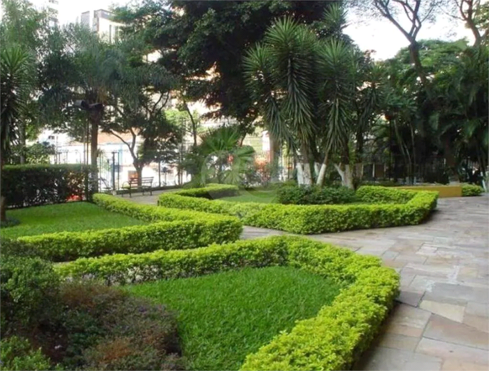 Foto REO212540