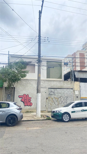 Foto REO212591