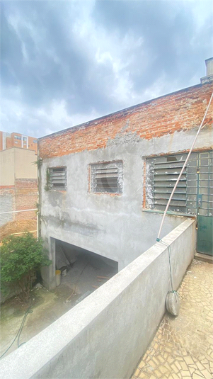 Foto REO212591