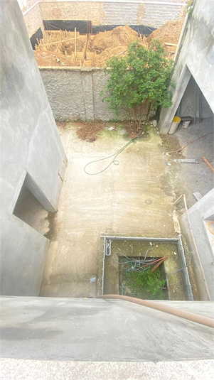 Foto REO212591