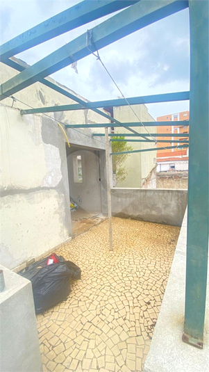 Foto REO212591