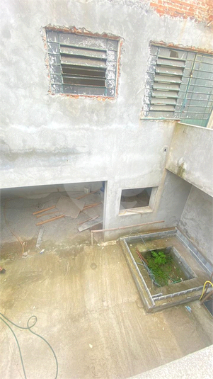 Foto REO212591