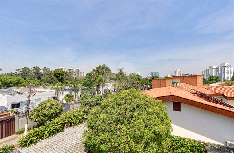 Foto REO212638