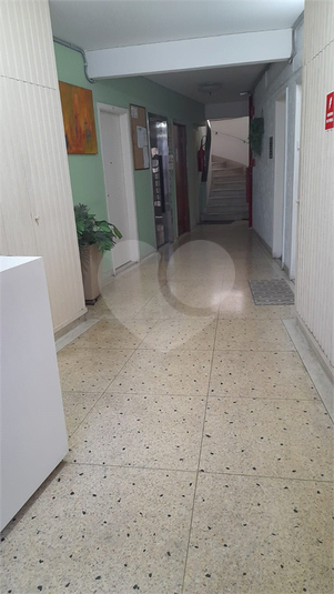 Foto REO212858