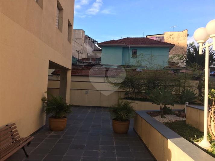 Foto REO212959