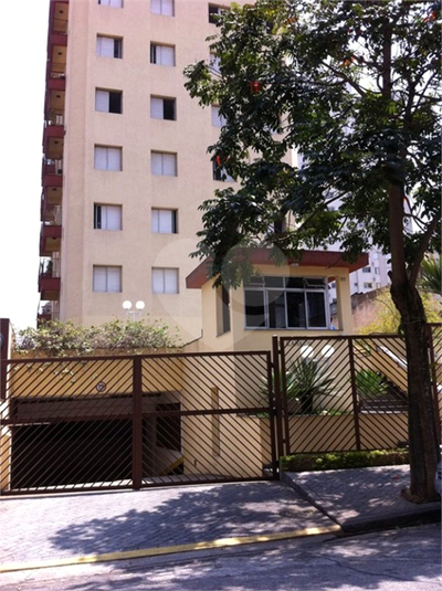 Foto REO212959