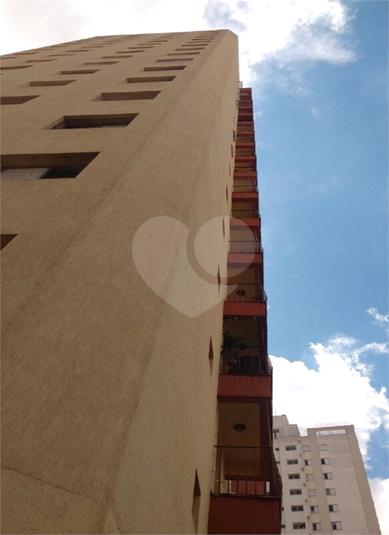 Foto REO212959