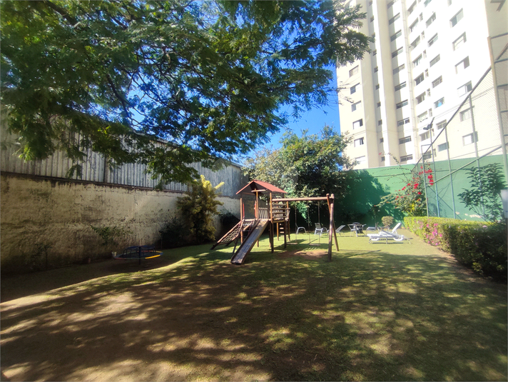 Foto REO213092