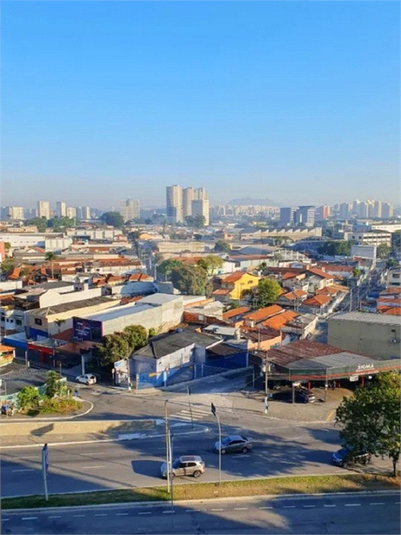Foto REO213096
