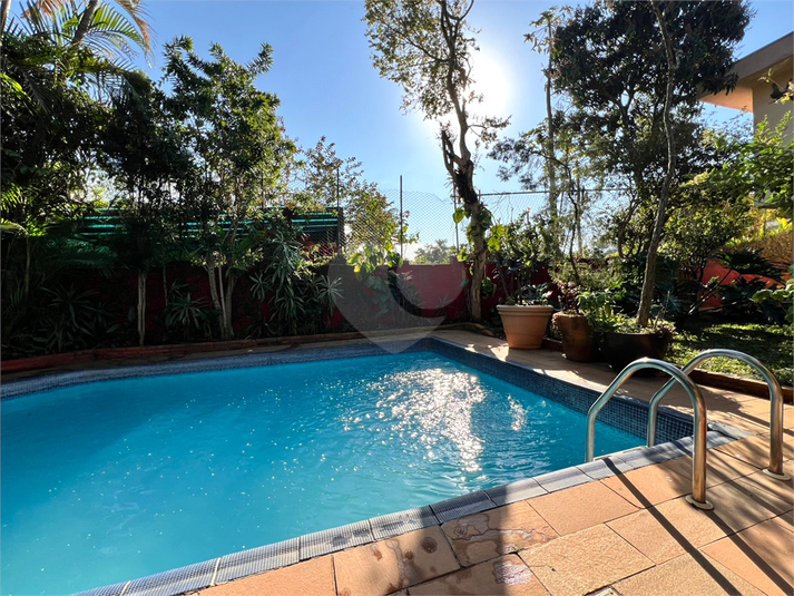 Foto REO213188