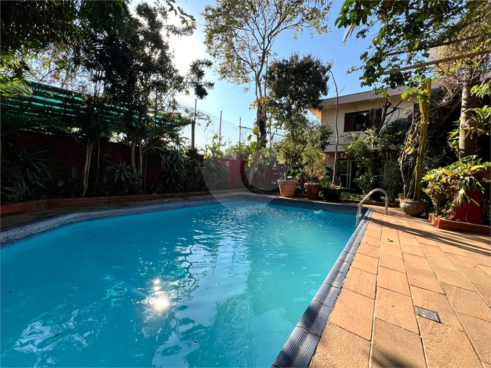 Foto REO213188