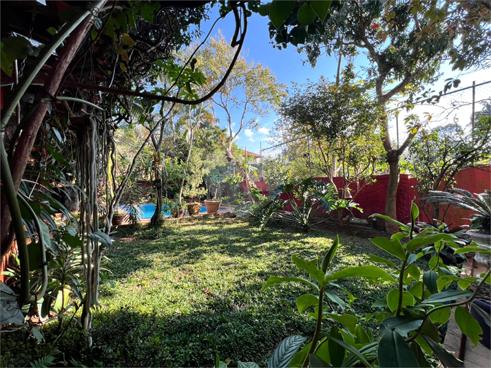 Foto REO213188