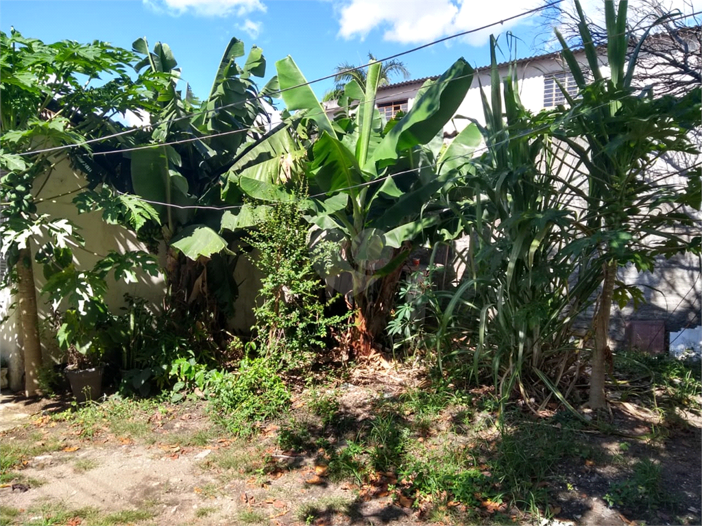 Venda Terreno São Paulo Água Fria REO213358 15