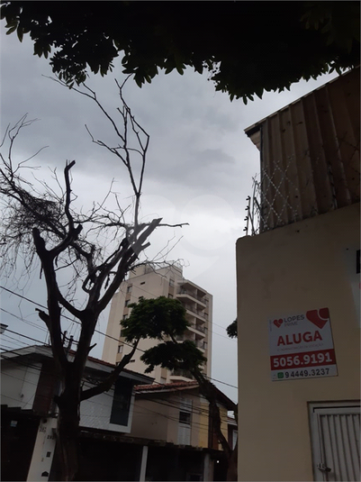 Foto REO21338