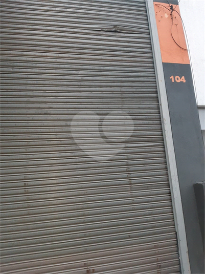 Foto REO21338