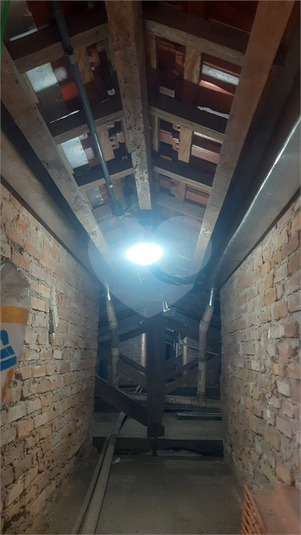 Foto REO213746