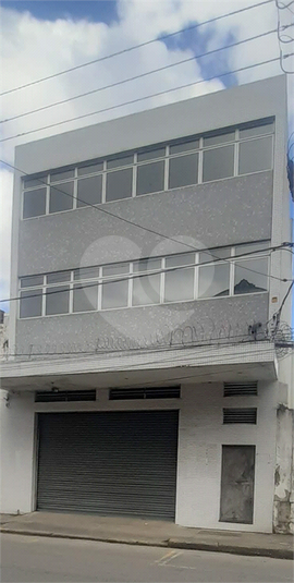 Foto REO213746