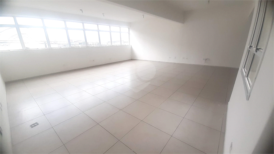 Foto REO213746