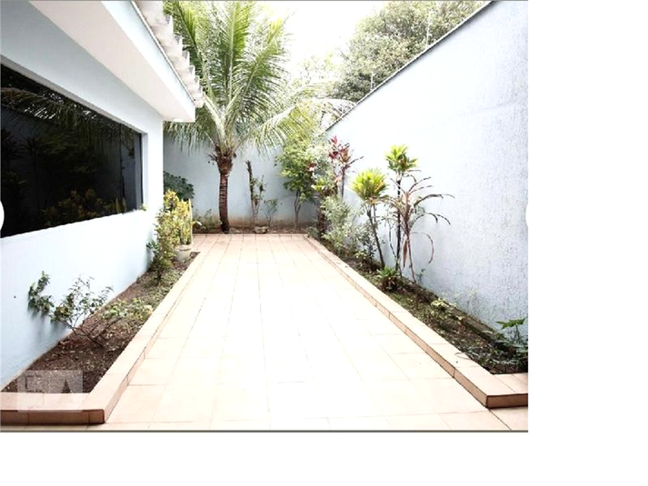 Foto REO213838