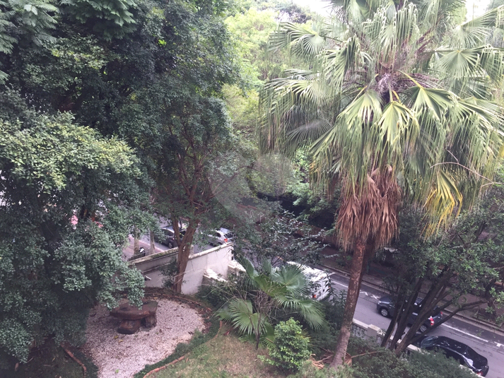 Foto REO213842