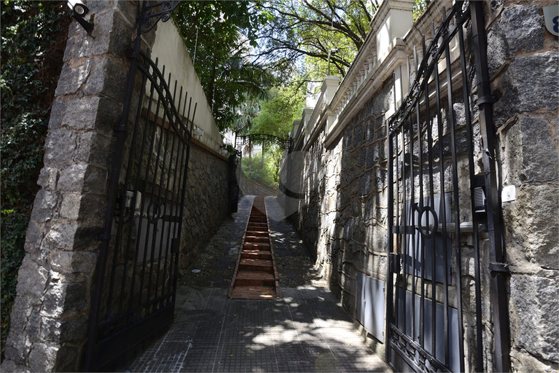 Foto REO213842